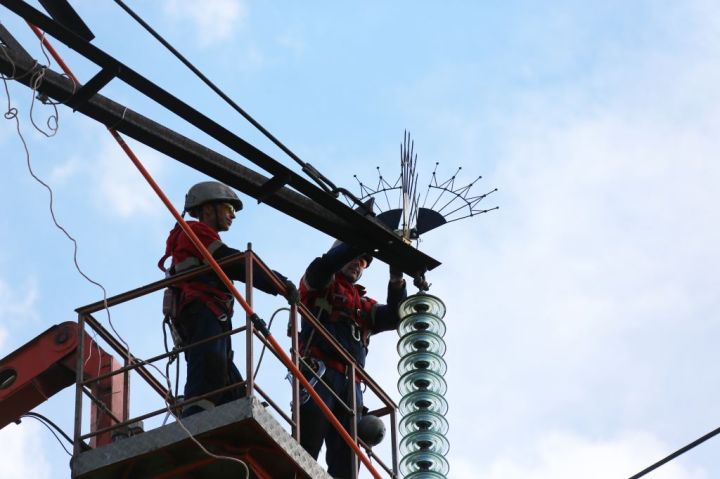 На линии электропередач в Липецкой области поставят оборудование, защищающее птиц от поражения током