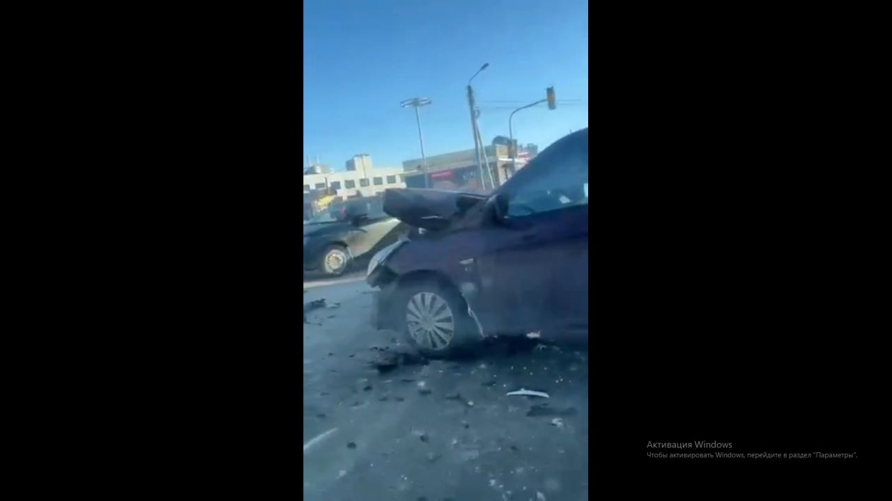 Причиной дтп стал бобер гей