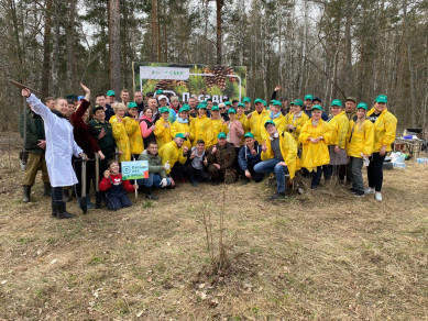 Волонтеры Сбера посадили 15 тысяч саженцев в Донском лесхозе Липецкой области