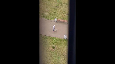 В Липецке сняли на видео издевательства девочки над щенком 