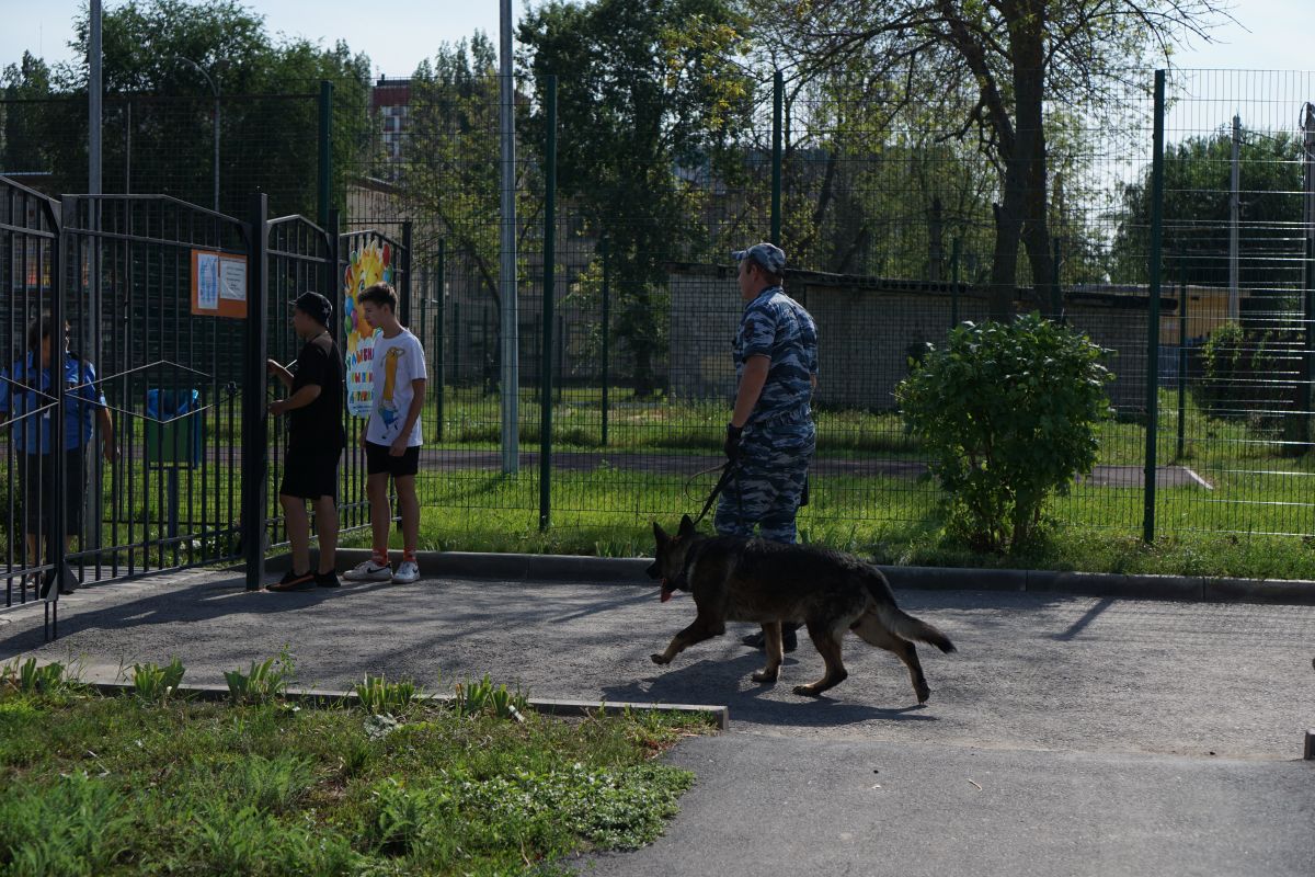 Школы и детские сады Ельца получили сообщения о минировании
