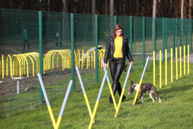 В 19-м микрорайоне Липецка появится площадка для выгула собак 