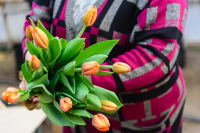 Липецкий «Зеленхоз» вырастил тюльпаны к женскому празднику