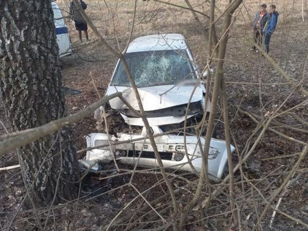 Воронежец угнал у липчанина машину и врезался в дерево