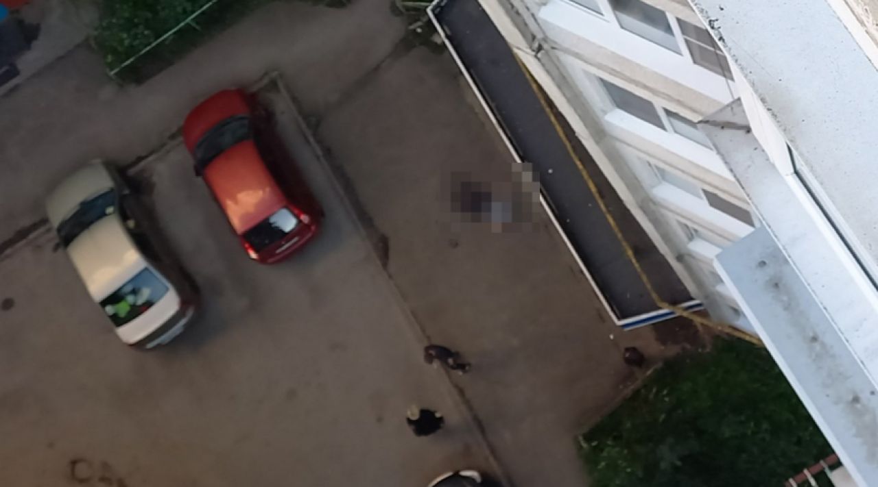 В Липецке мужчина умер, выгуливая собаку