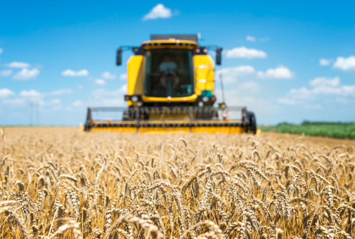 Комбайн наехал на&nbsp;взрывоопасный предмет в Черноземье — есть пострадавшие