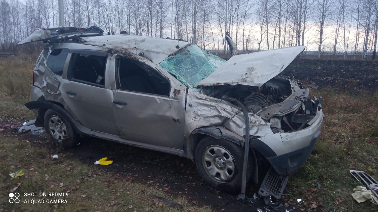 «Рено» вылетел в кювет под Липецком