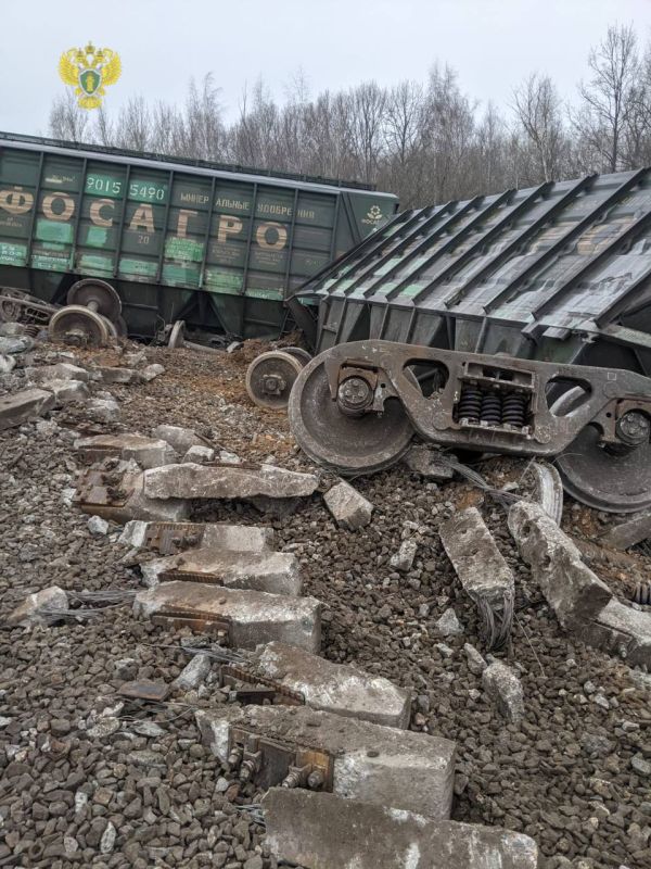В Рязанской области с&nbsp;рельсов сошли 19 грузовых вагонов