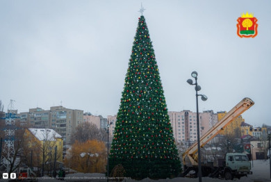 На Липецком городище впервые установили новогоднюю ёлку