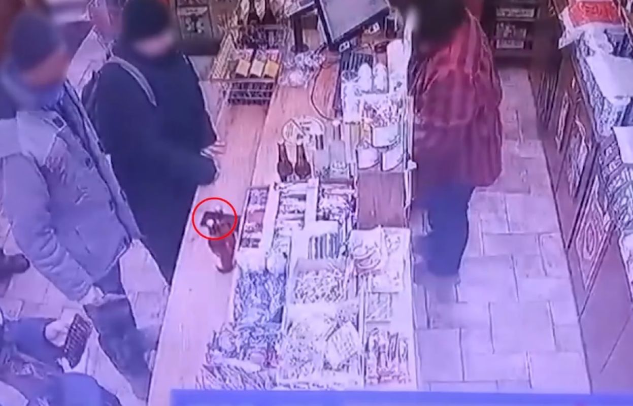 эмблема диагностического центра. ремонт телефонов елец радиотехническая. диагностика елец телефон. мрт центр елец. плюс медицинский центр елец.