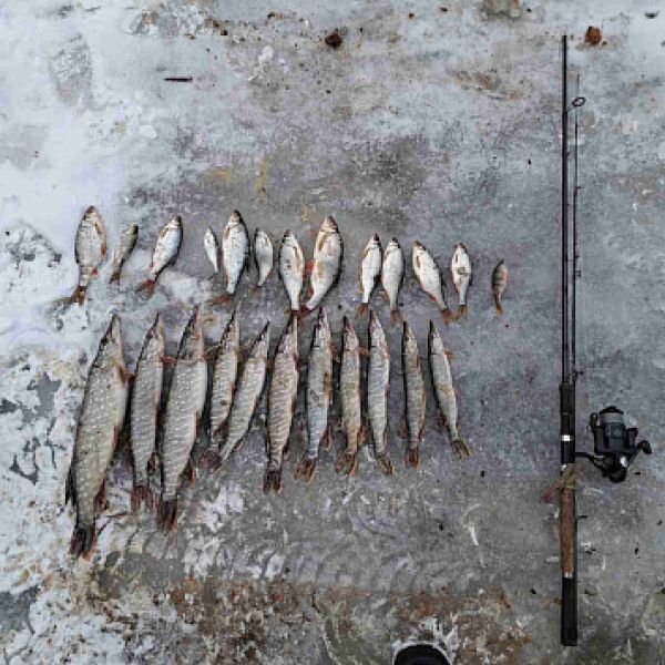 Под Липецком задержали браконьеров, ловивших рыбу крюками
