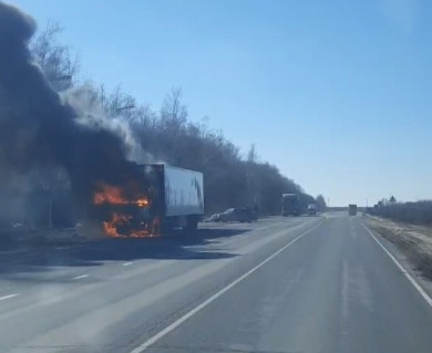 В Липецкой области на трассе вспыхнула фура – водитель успел вовремя выскочить из горящей машины
