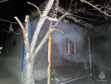В Липецкой области мать и трое детей спаслись из горящего дома, а пожилая пара погибла в огне