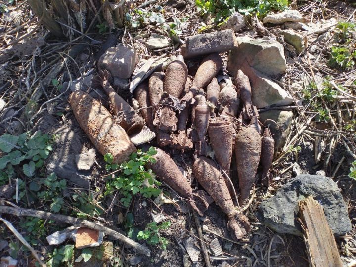 В Тербунском районе из земли извлекли 36 мин и артиллерийских снарядов