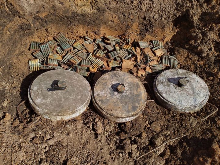 В лесополосе Воловского района нашли противотанковые мины и 1 200 патронов