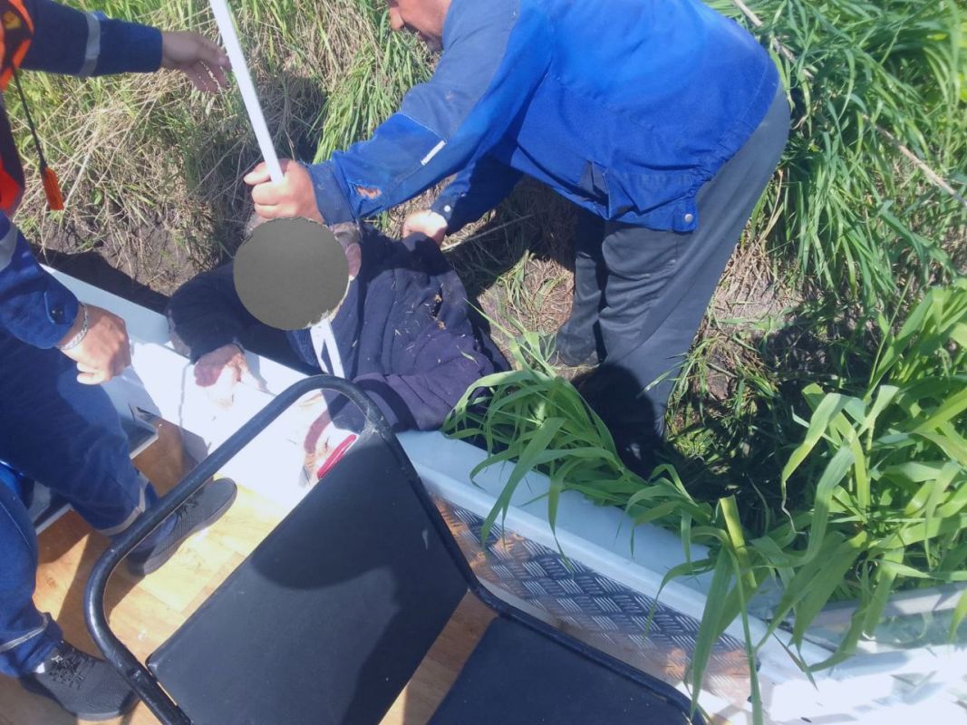 Под Липецком любуясь красотой Дона, старушка упала с крутого обрыва