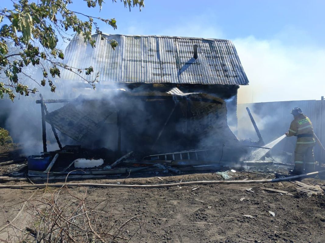 В Липецке пожарные отбили огонь от бани и сарая с домашней птицей
