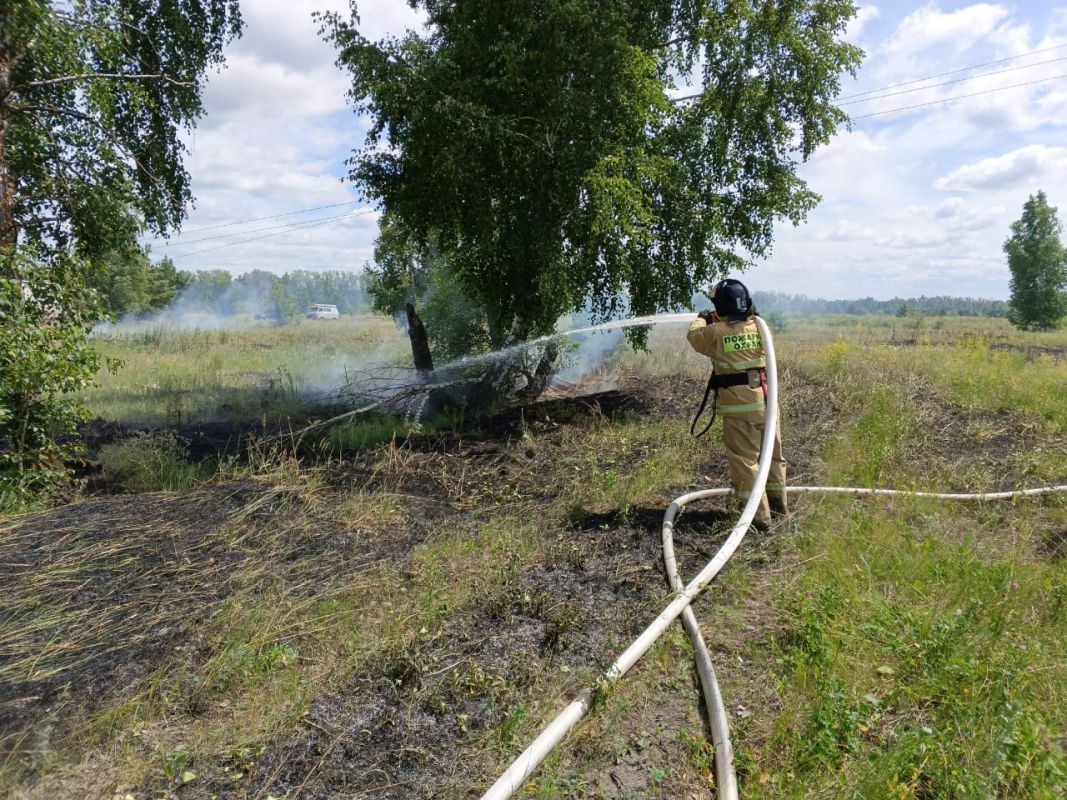 Под Липецком из-за упавшей опоры ЛЭП едва не сгорел коттеджный поселок