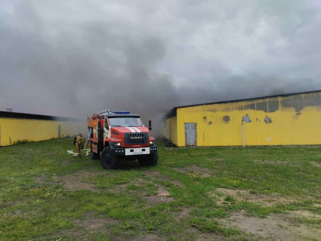 В Липецкой области горел крупный свинокомплекс — не&nbsp;обошлось без&nbsp;жертв