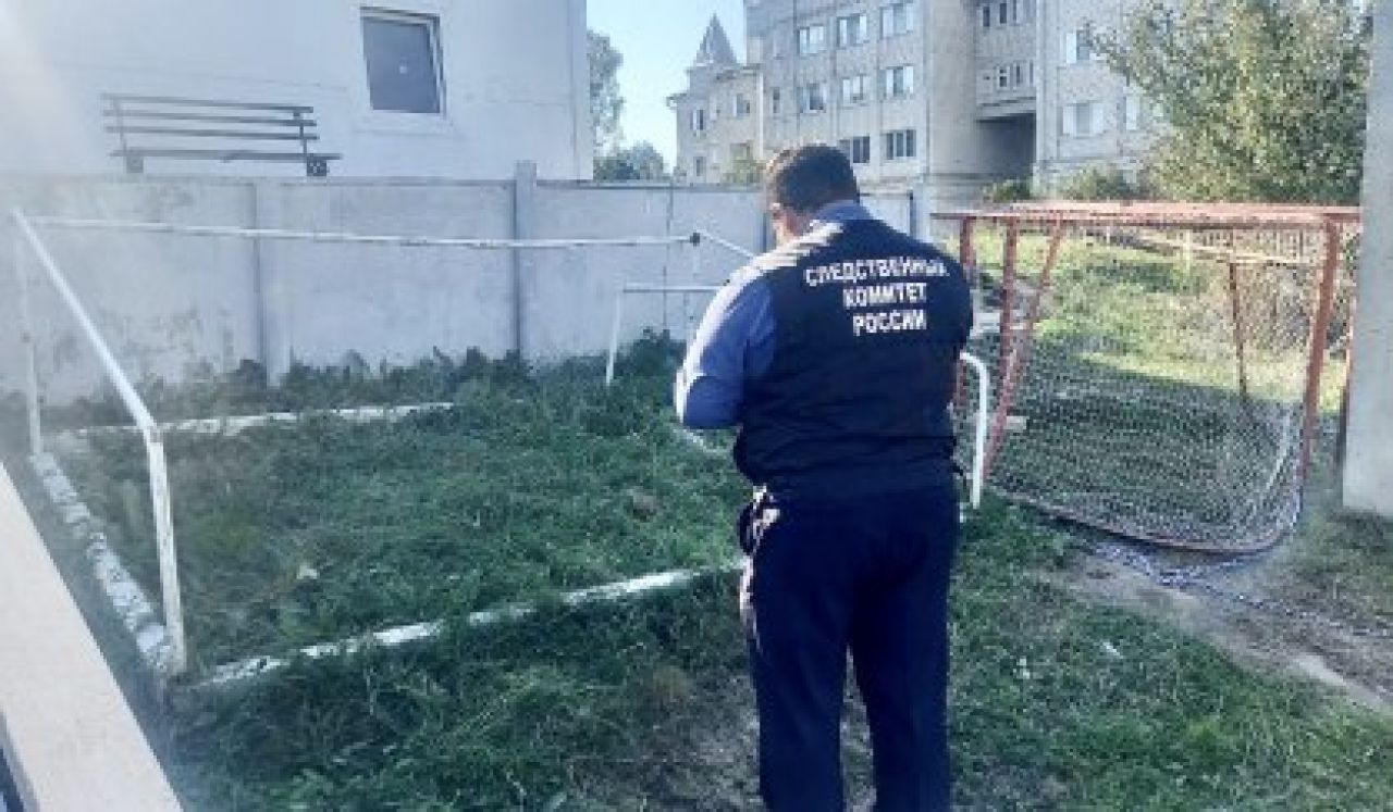 Липецкого чиновника обвиняют в&nbsp;халатности — следком полагает, что&nbsp;по его вине школьника придавило воротами