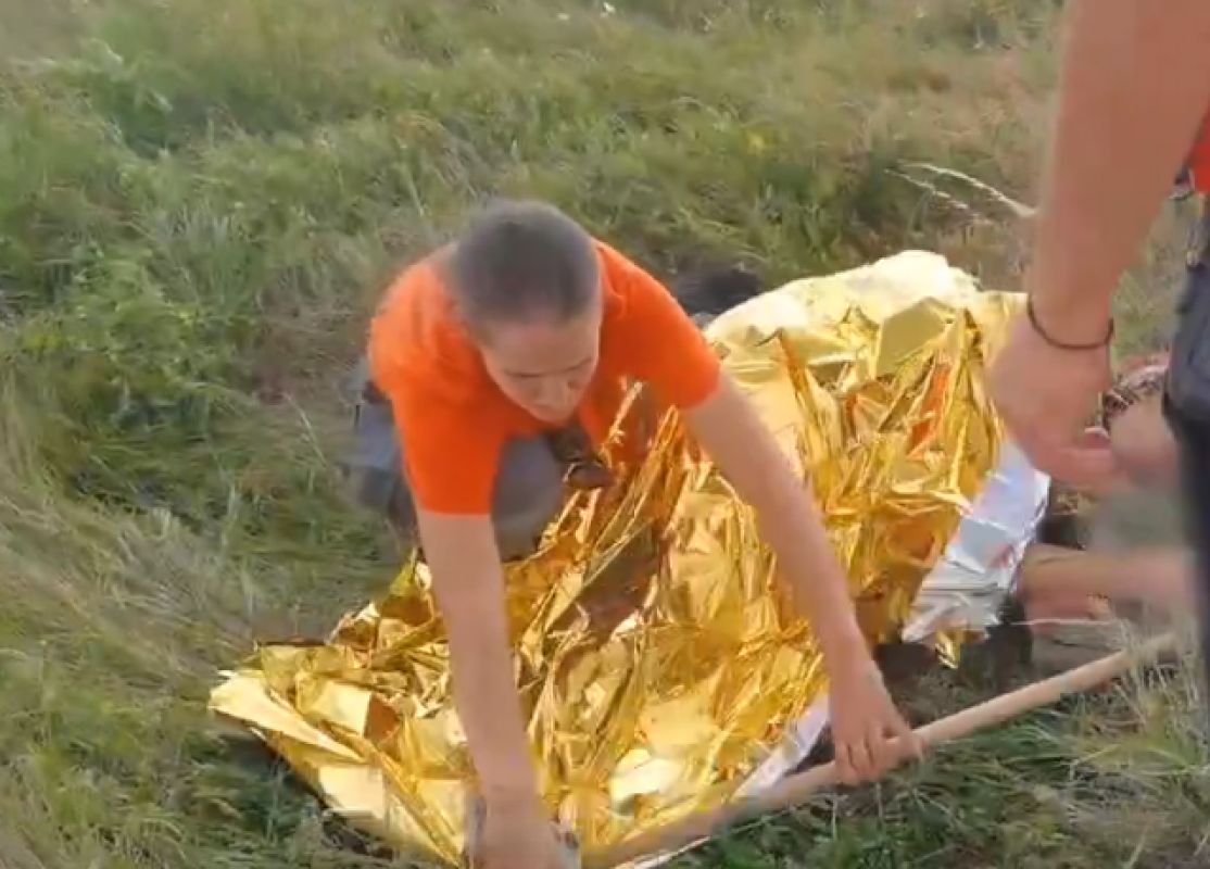 В Липецкой области собака нашла пропавшую пенсионерку