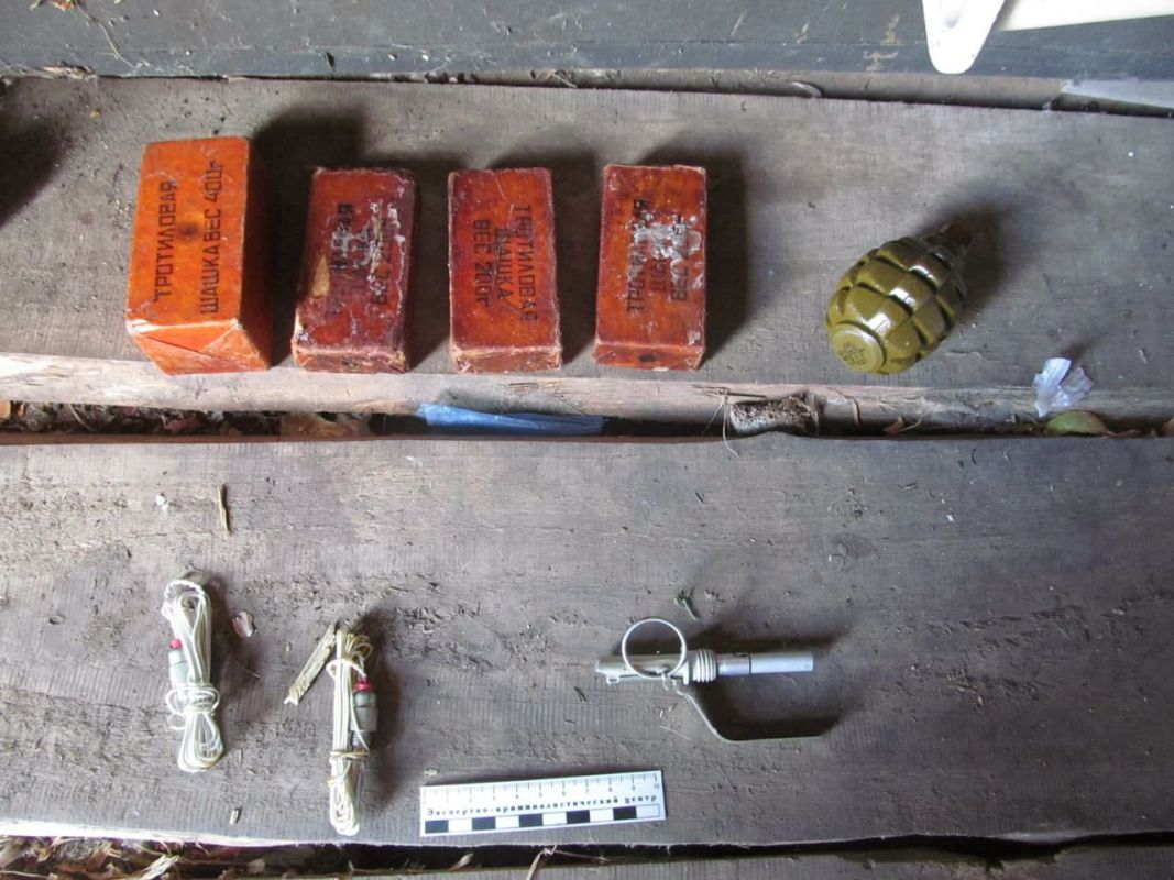 Под Липецком нашли склад тротиловых шашек и электродетонаторов