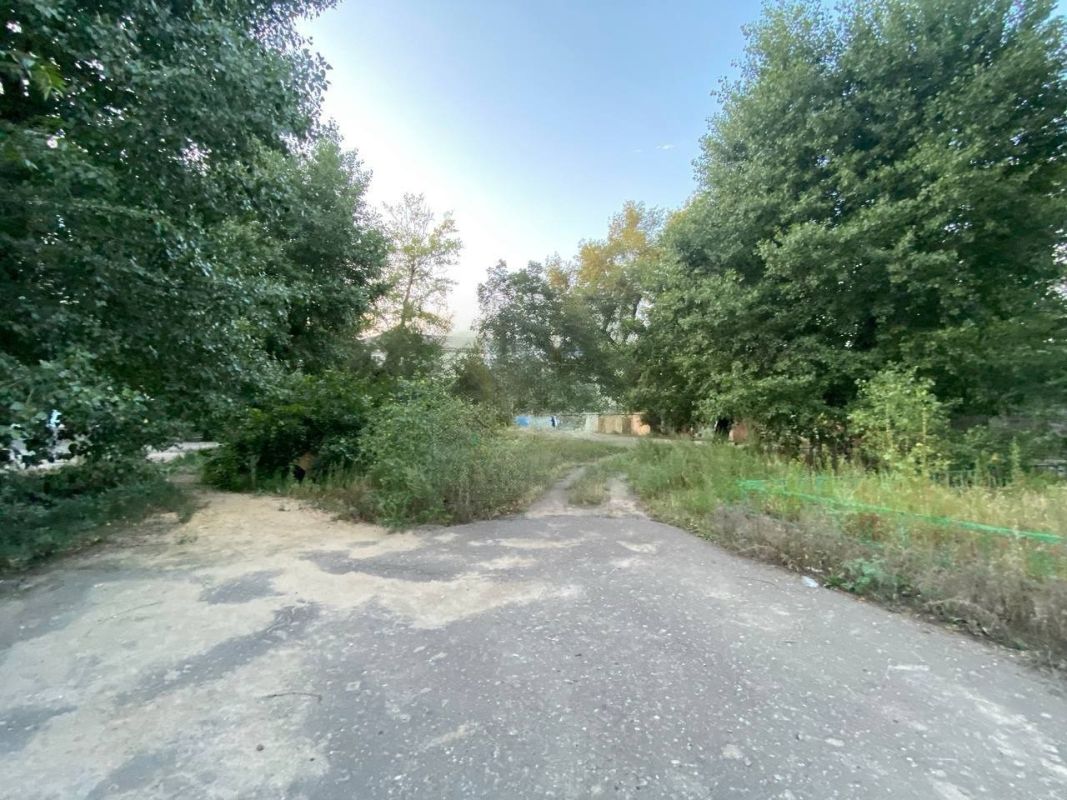 Управляющая компания превратила двор дома на окраине Липецка в джунгли