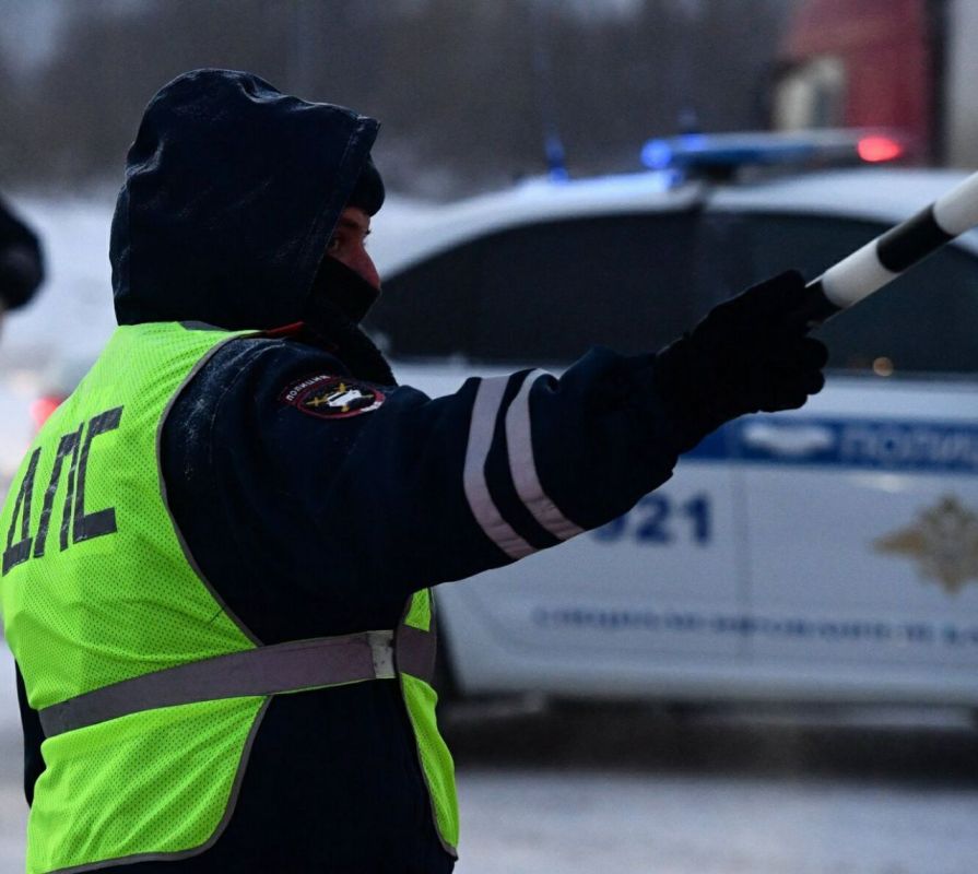 Житель Воронежа сбил гаишника из Ельца и отделался колонией-поселением