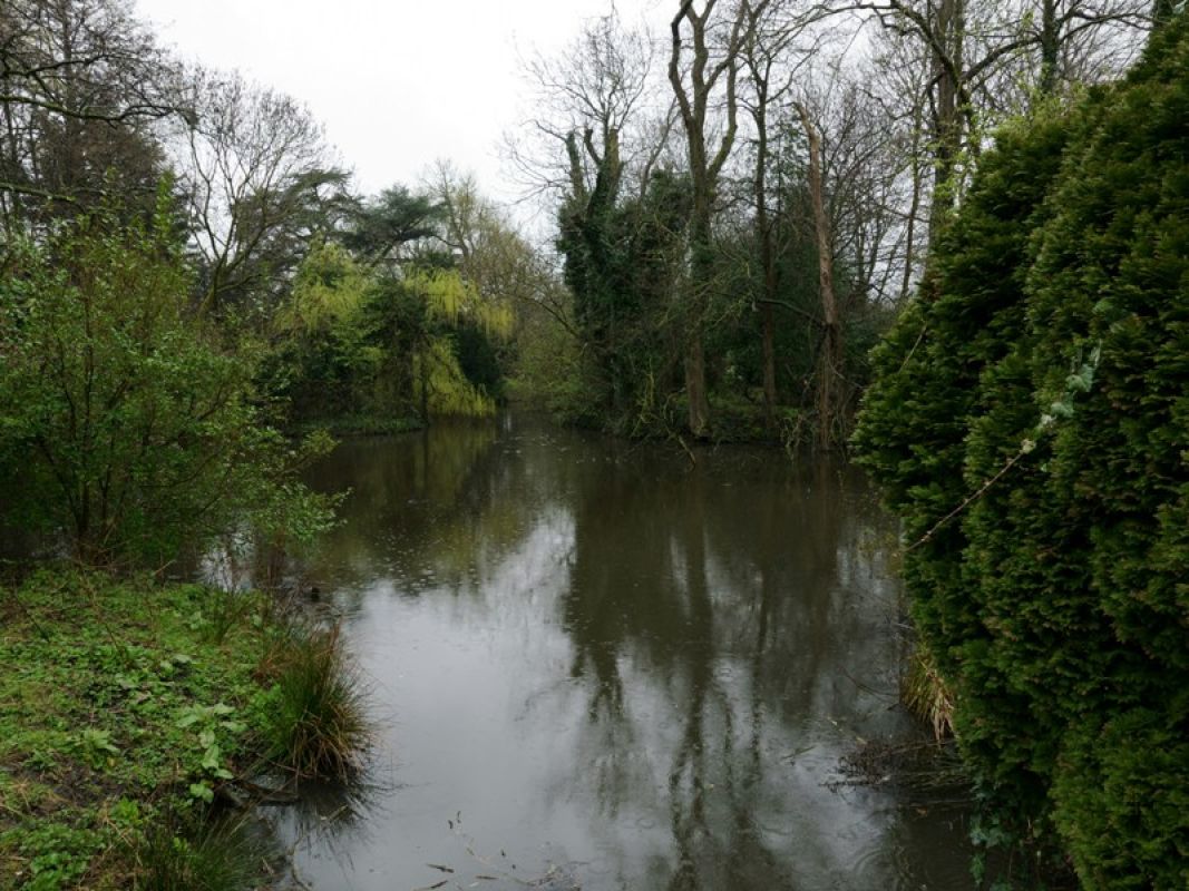 Из пруда в Липецкой области достали очередного утопленника