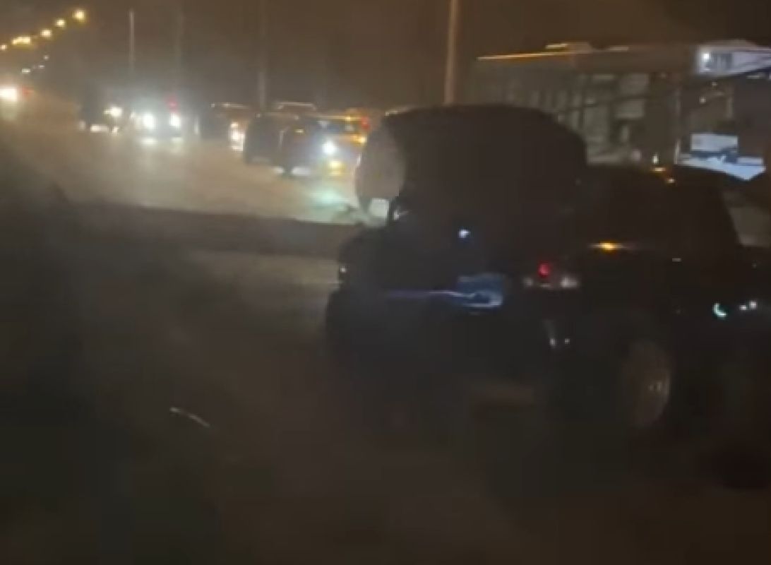 В Липецке лось спровоцировал жуткую аварию перед Октябрьским мостом