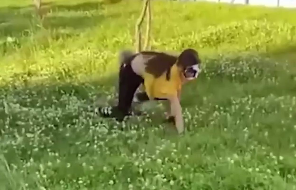 В Липецке квадроберы напали на девушек, выпрыгнув из кустов