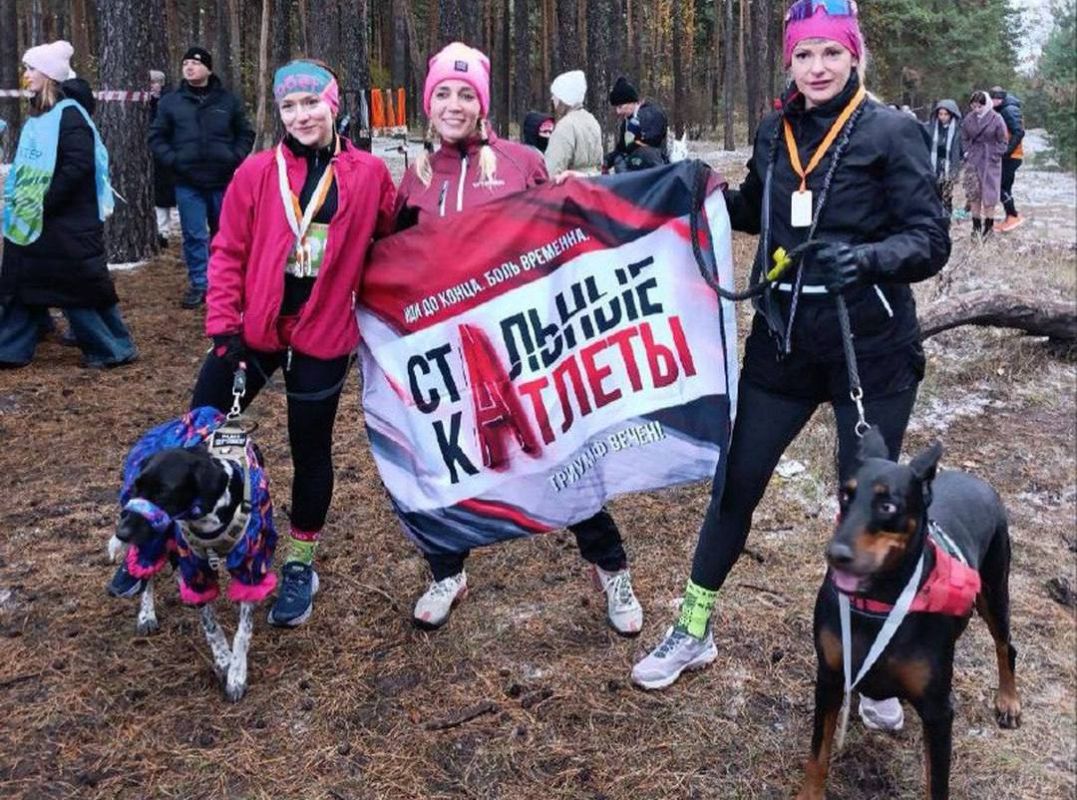 В Липецке собаки пробежали кросс на 6 км