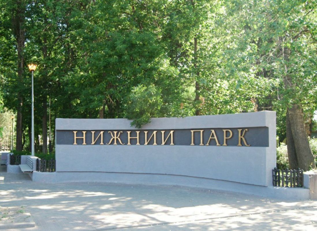 Прокуратура возмутилась незаконной вырубкой деревьев в Нижнем парке