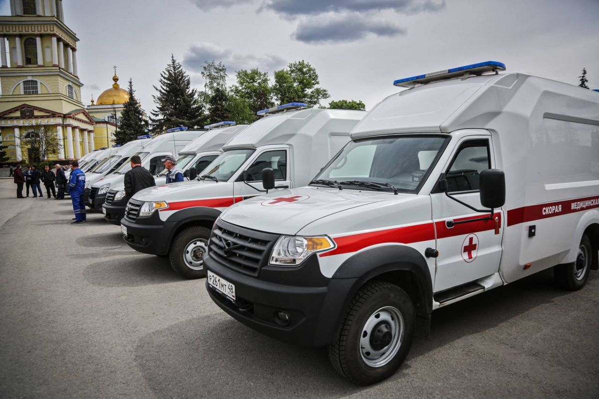 В Липецке пенсионерку с собачкой сбила иномарка: животное погибло
