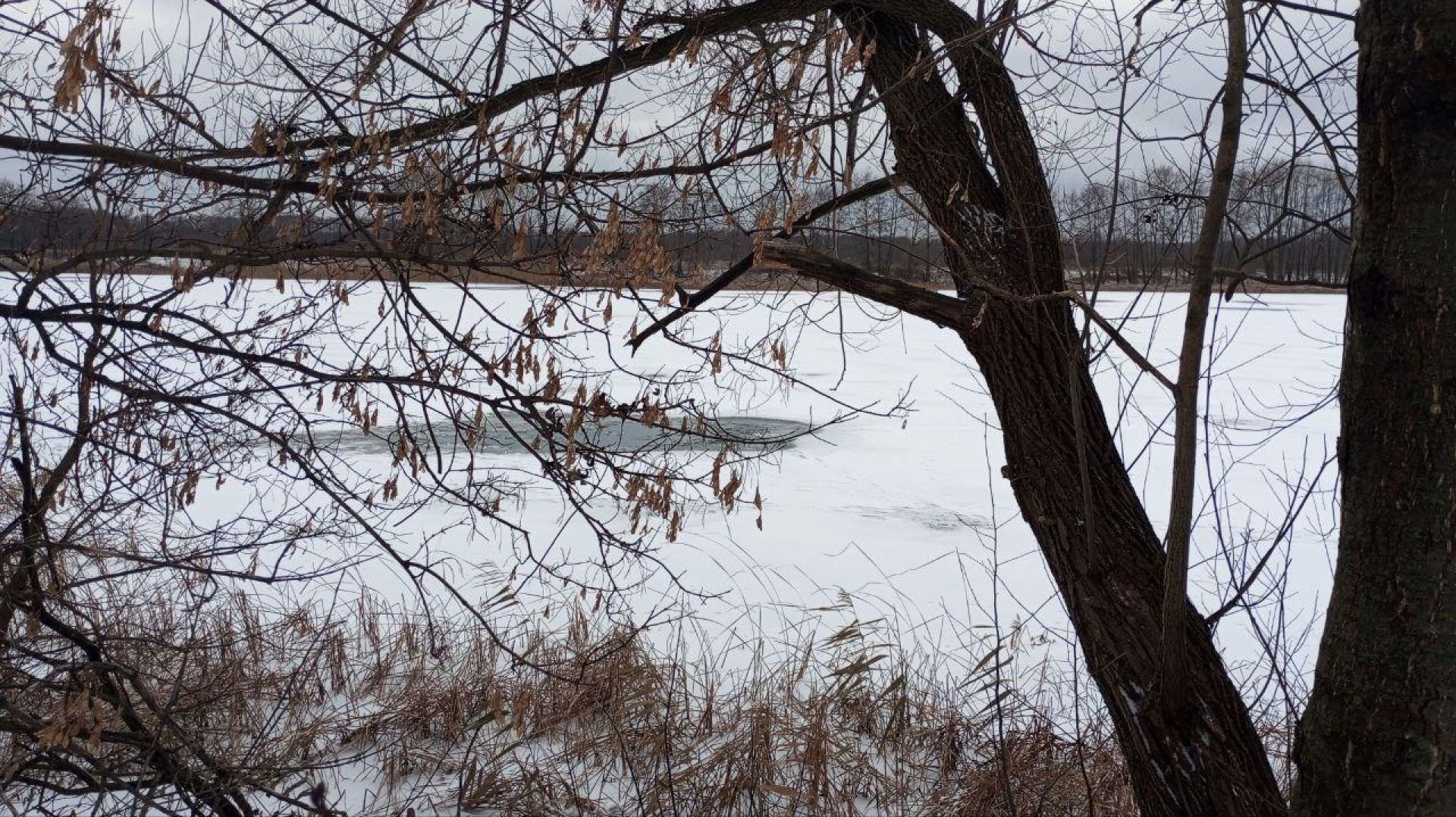 В Липецке рыбак провалился под лёд на реке Воронеж