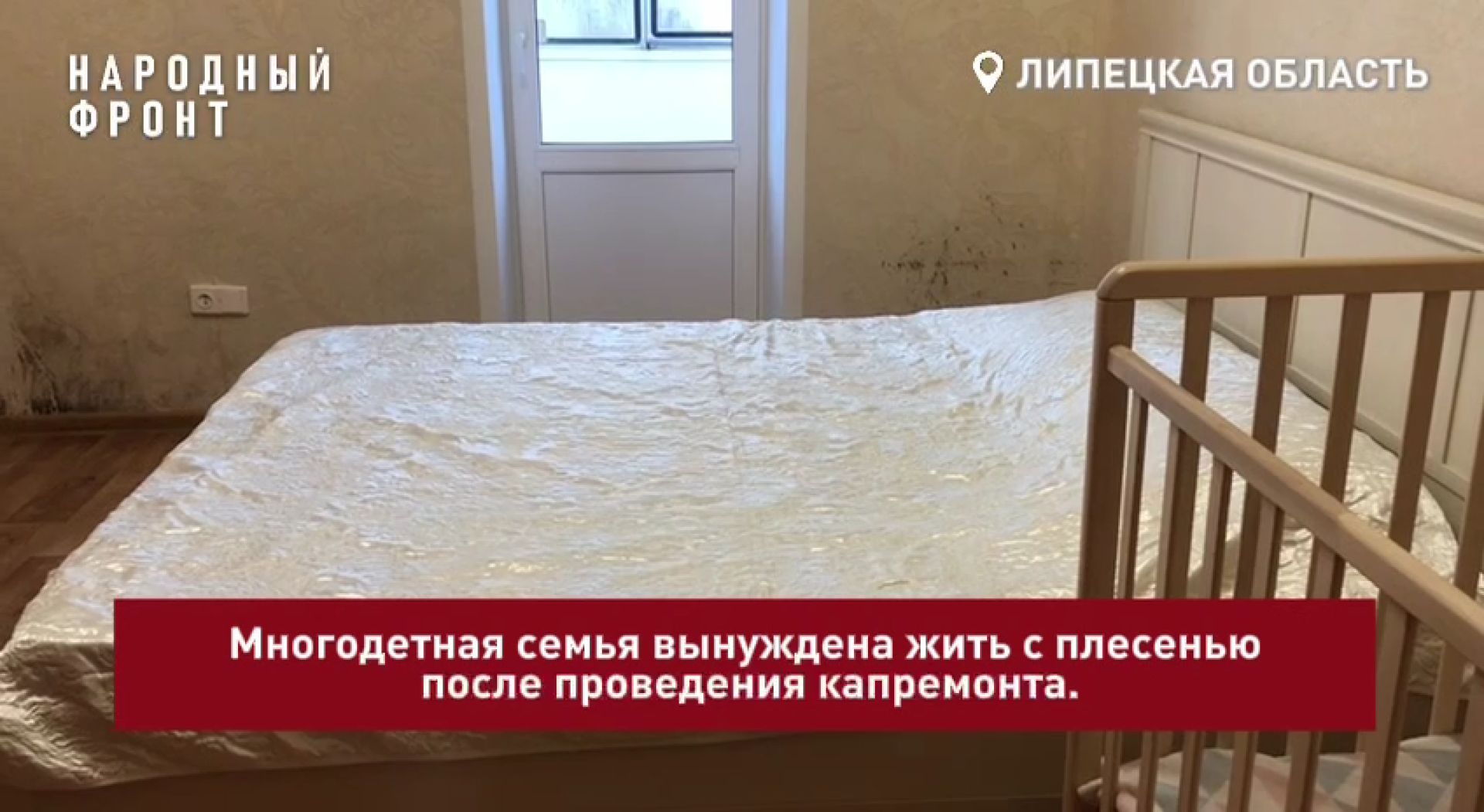 Многодетная семья из Липецка страдает от чёрной плесени в квартире после капитального ремонта