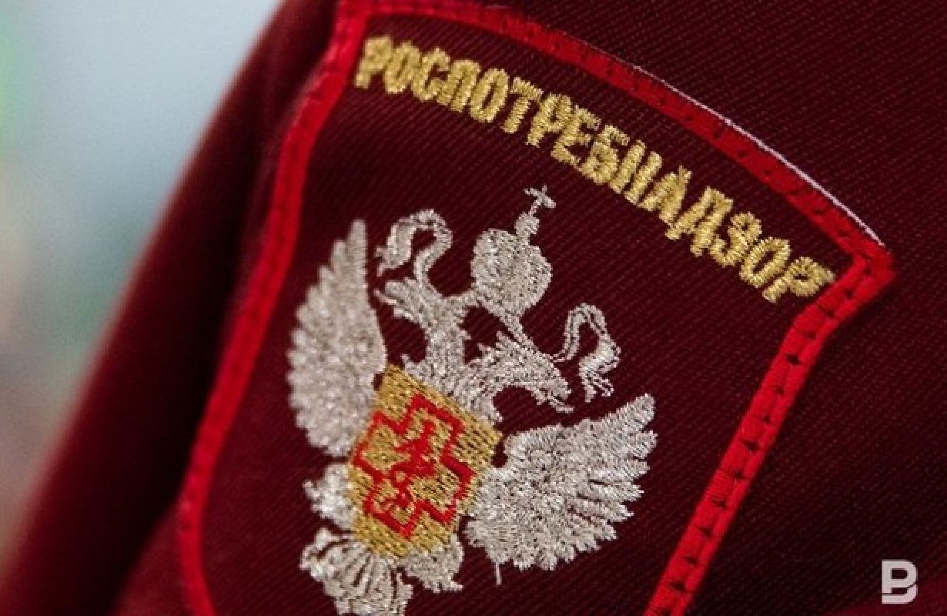 Роспотребнадзор инициировал расследование по факту отравления липецкой семьи пиццей и роллами