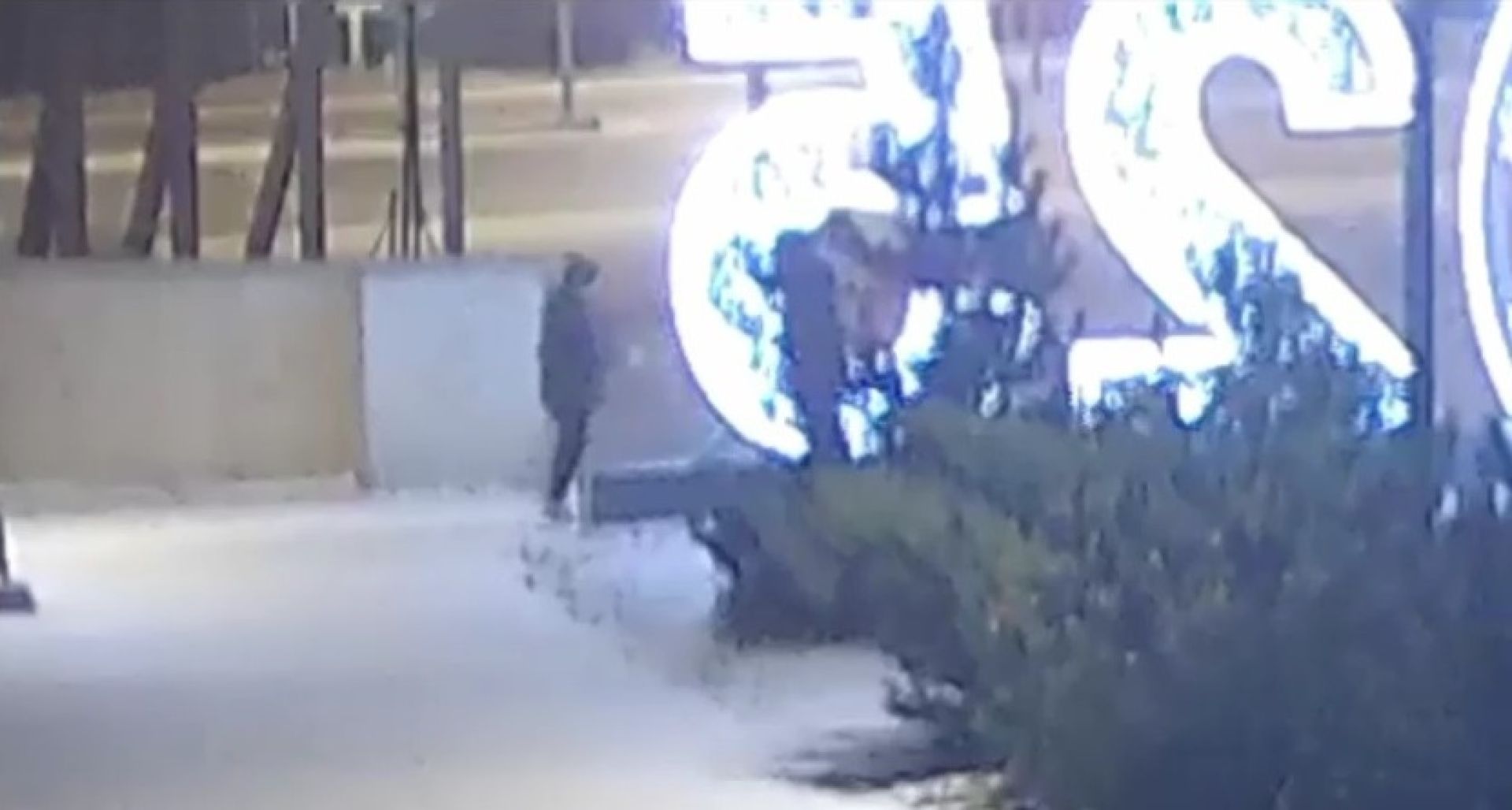 Вандалы повредили новогоднюю инсталляцию в Быхановом саду Липецка