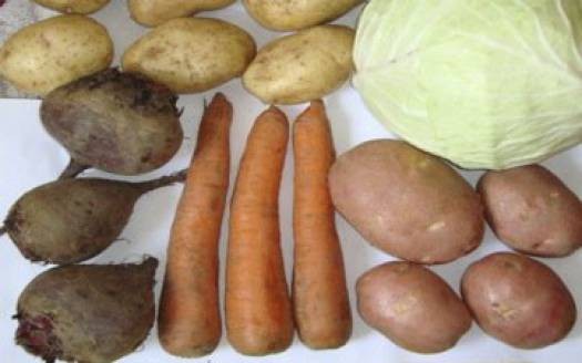 Купить Картофель Морковь Цена