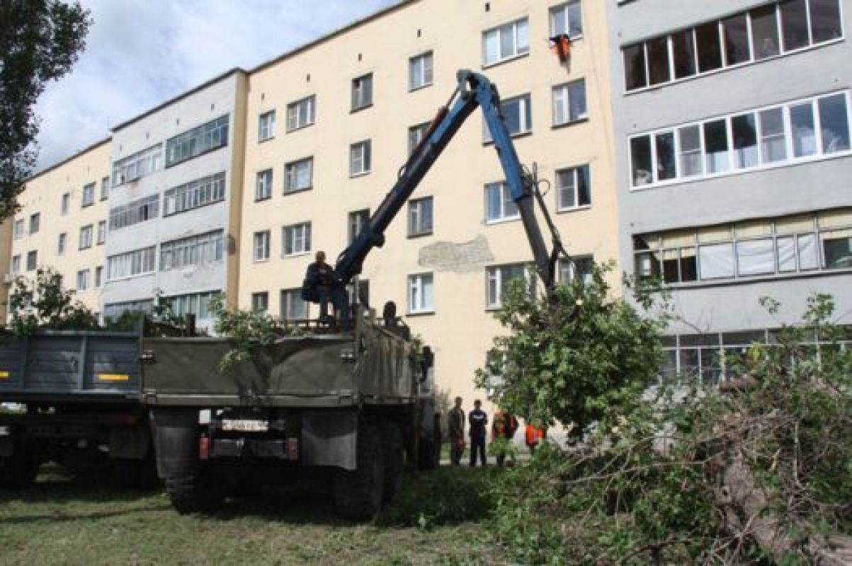 Весной будущего года взамен поваленных ураганом деревьев в Липецке планируется высадить более тысячи саженцев