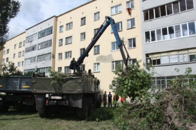 Настучим на дерево