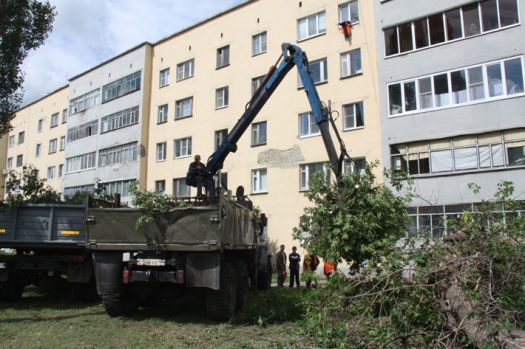 Весной будущего года взамен поваленных ураганом деревьев в Липецке планируется высадить более тысячи саженцев