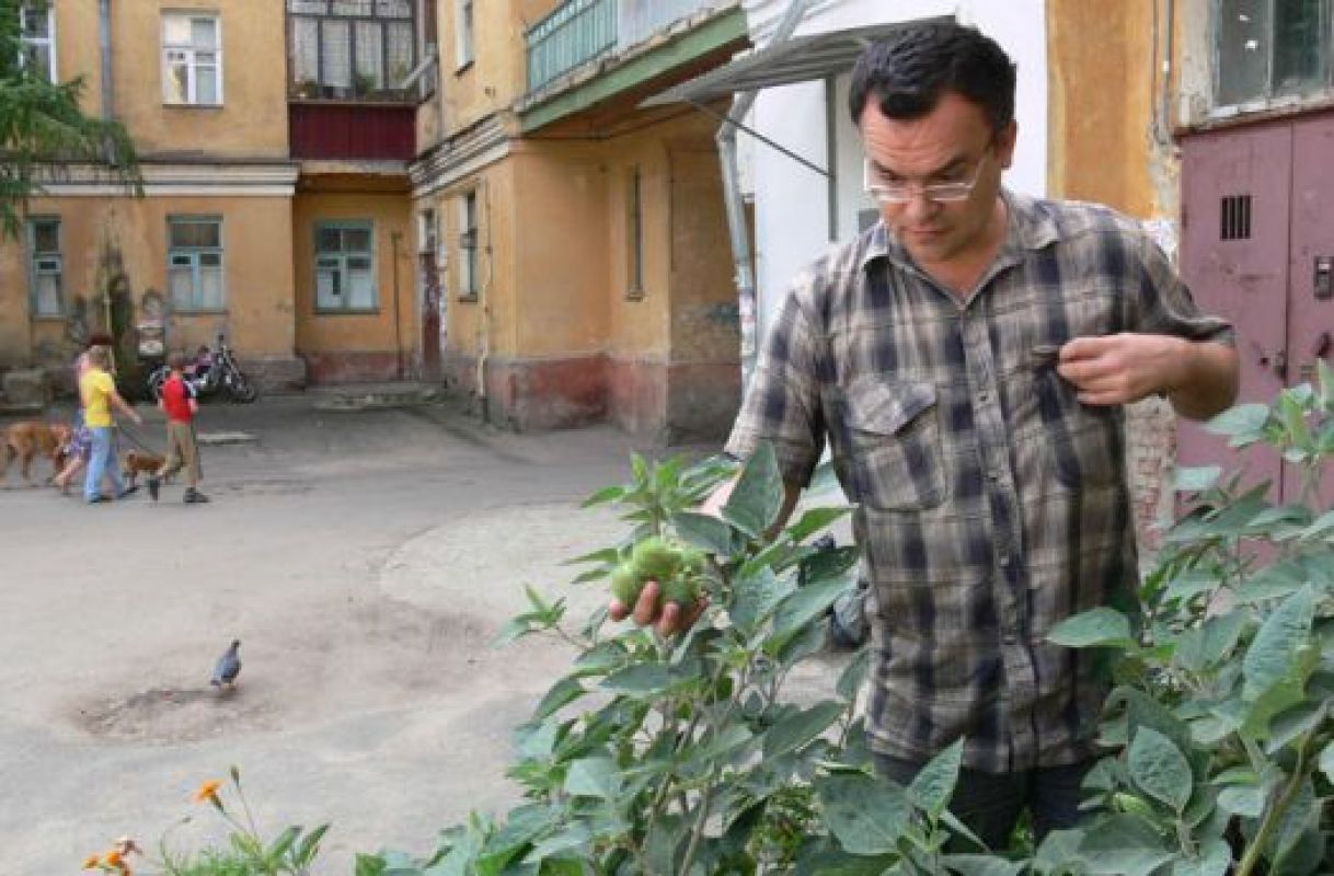 Выкашивать не только простую, но и вредную траву коммунальные службы не торопятся