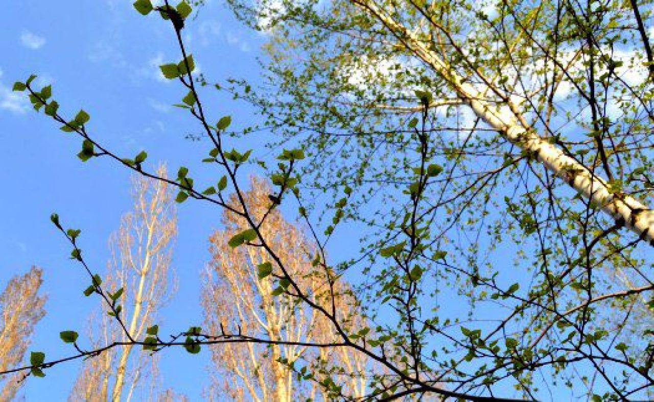 В Липецке синоптики обещают потепление ненадолго