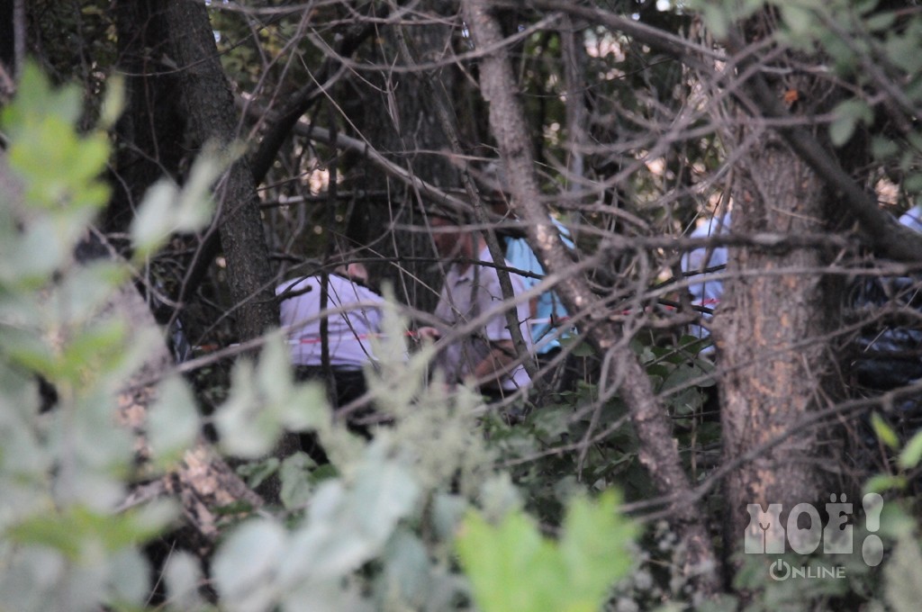 убийство девочки в костроме. владимир ретунский маньяк. маньяк в пензе. маньяк в воронеже насильник. воронежский маньяк.