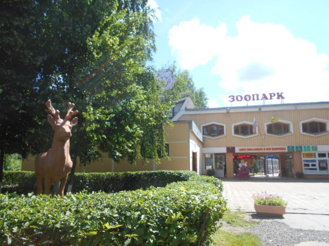 Зоопарк Липецк Цена