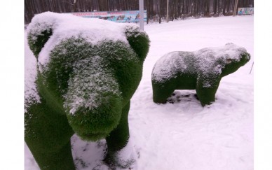 В Нижнем парке поставят зелёных медведей