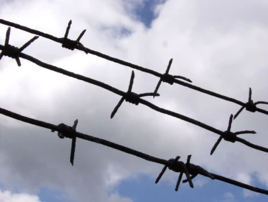 Житель Ельца получил 10,5 года колонии за попытку открыть наркобизнес
