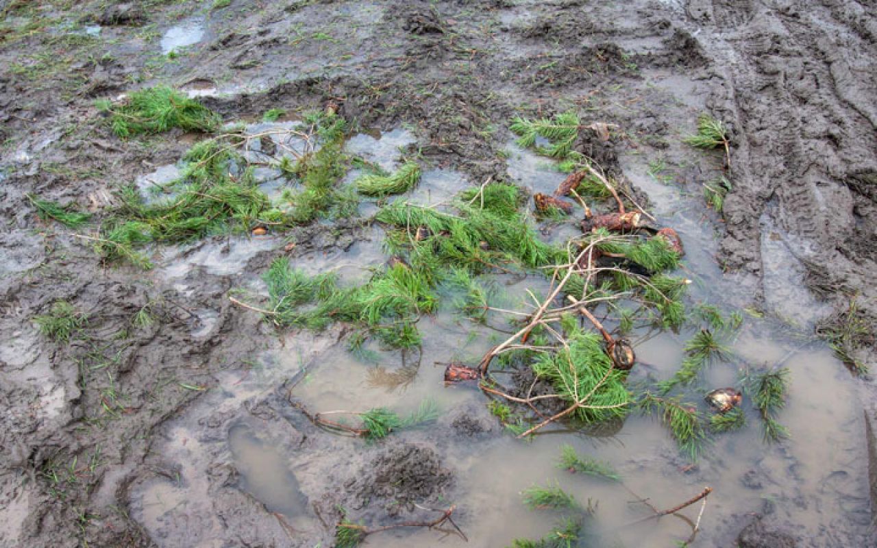 В Липецке от новогодних базаров на улицах осталось 20 грузовиков мусора
