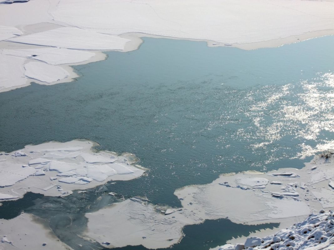 Липецкое предприятие, сбрасывающее в реку вредные вещества, оштрафовано на 100 тысяч рублей

